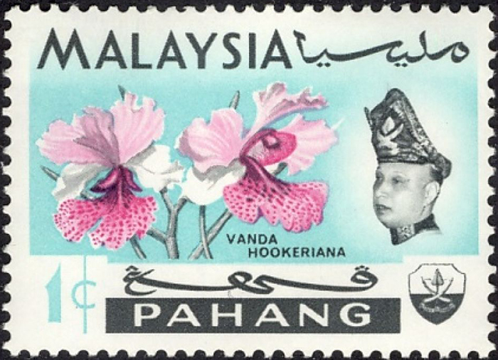 Pahang83
